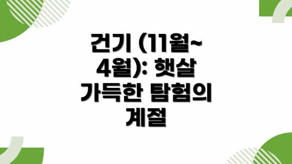 건기 (11월~4월): 햇살 가득한 탐험의 계절