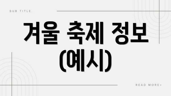 겨울 축제 정보 (예시)