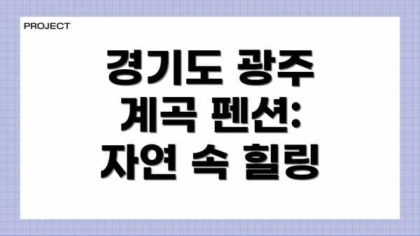 경기도 광주 계곡 펜션: 자연 속 힐링