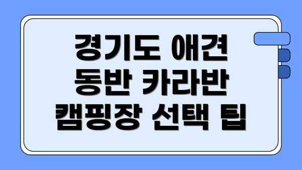 경기도 애견 동반 카라반 캠핑장 선택 팁
