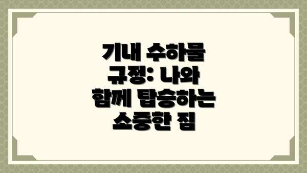 기내 수하물 규정: 나와 함께 탑승하는 소중한 짐