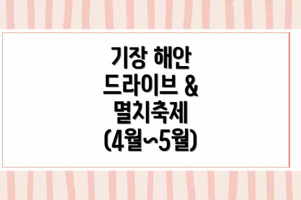 기장 해안 드라이브 & 멸치축제 (4월~5월)