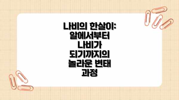 나비의 한살이: 알에서부터 나비가 되기까지의 놀라운 변태 과정