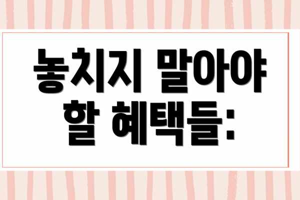 놓치지 말아야 할 혜택들: