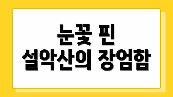 눈꽃 핀 설악산의 장엄함