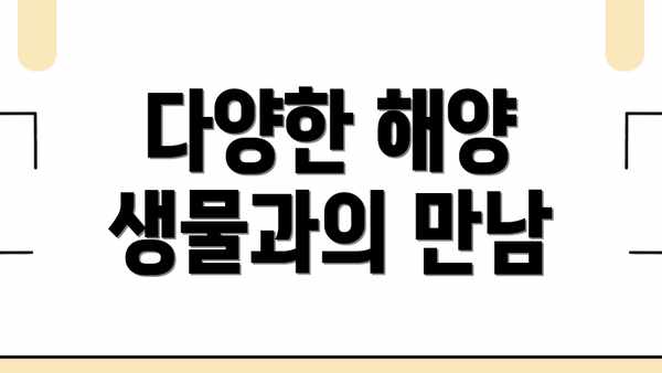 다양한 해양 생물과의 만남