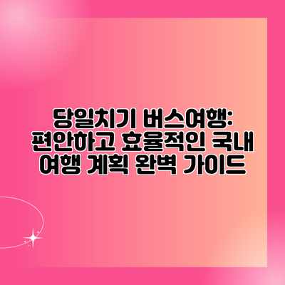 당일치기 버스여행: 편안하고 효율적인 국내 여행 계획 완벽 가이드 당일치기 버스여행: 편안하고 효율적인 국내 여행 계획 완벽 가이드