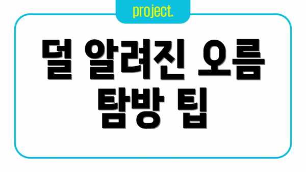덜 알려진 오름 탐방 팁