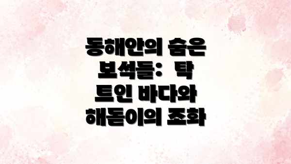 동해안의 숨은 보석들:  탁 트인 바다와 해돋이의 조화