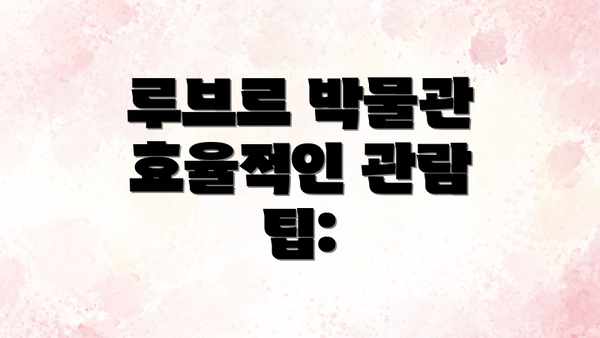 루브르 박물관  효율적인 관람 팁: