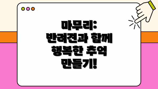 마무리:  반려견과 함께 행복한 추억 만들기!