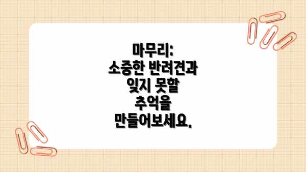 마무리:  소중한 반려견과 잊지 못할 추억을 만들어보세요.