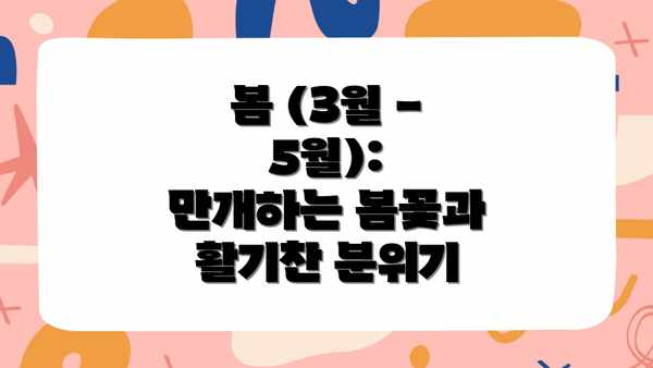 봄 (3월 - 5월): 만개하는 봄꽃과 활기찬 분위기