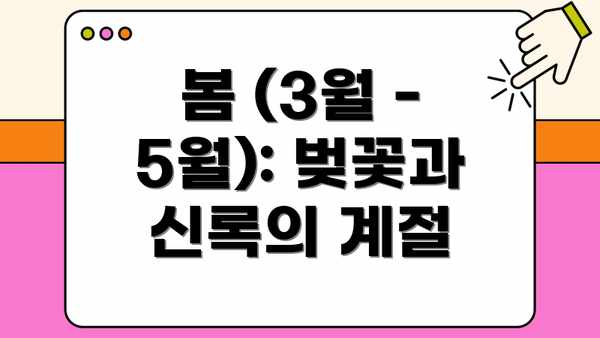 봄 (3월 - 5월): 벚꽃과 신록의 계절