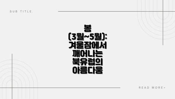 봄 (3월~5월): 겨울잠에서 깨어나는 북유럽의 아름다움