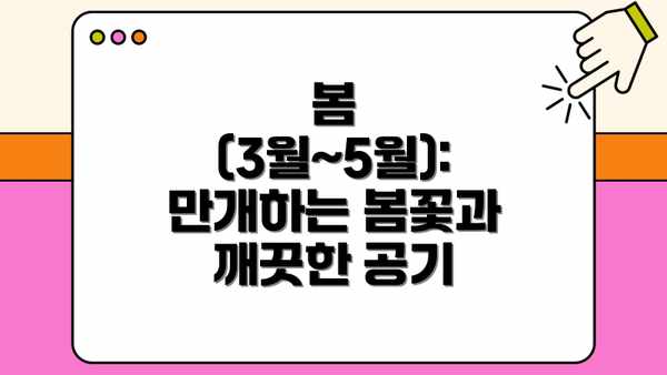 봄 (3월~5월): 만개하는 봄꽃과 깨끗한 공기