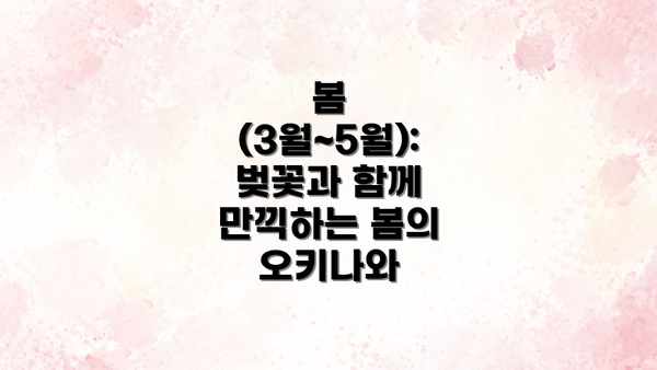 봄 (3월~5월): 벚꽃과 함께 만끽하는 봄의 오키나와