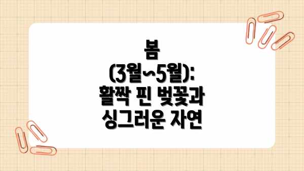봄 (3월~5월): 활짝 핀 벚꽃과 싱그러운 자연