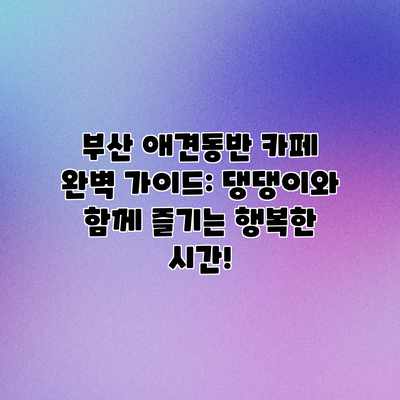 부산 애견동반 카페 완벽 가이드: 댕댕이와 함께 즐기는 행복한 시간! 부산 애견동반 카페 완벽 가이드: 댕댕이와 함께 즐기는 행복한 시간!