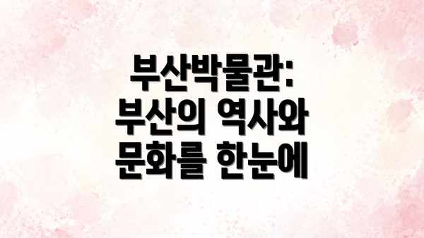 부산박물관: 부산의 역사와 문화를 한눈에