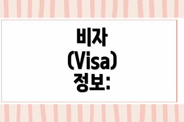 비자 (Visa) 정보: