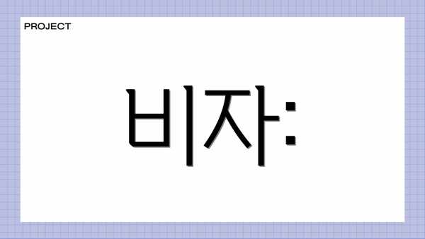 비자: