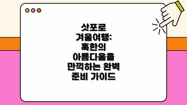 삿포로 겨울여행: 혹한의 아름다움을 만끽하는 완벽 준비 가이드