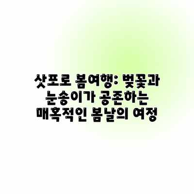 삿포로 봄여행: 벚꽃과 눈송이가 공존하는 매혹적인 봄날의 여정 삿포로 봄여행: 벚꽃과 눈송이가 공존하는 매혹적인 봄날의 여정