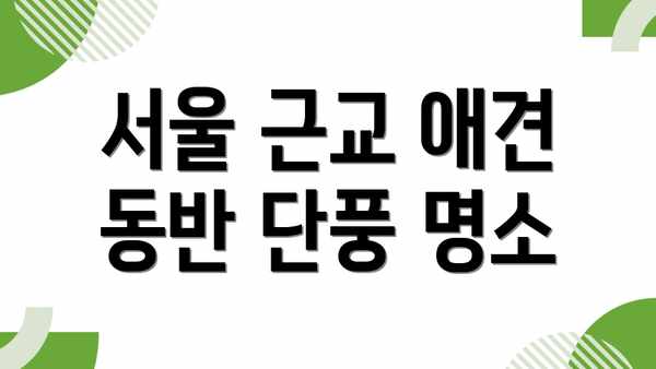서울 근교 애견 동반 단풍 명소