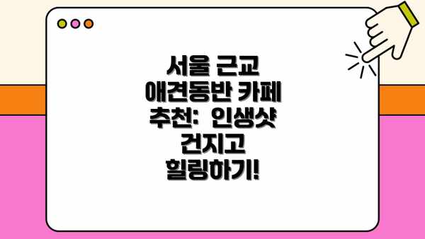 서울 근교 애견동반 카페 추천:  인생샷 건지고 힐링하기!