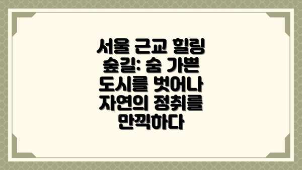 서울 근교 힐링 숲길: 숨 가쁜 도시를 벗어나 자연의 정취를 만끽하다