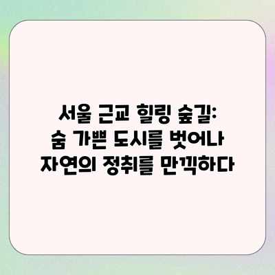 서울 근교 힐링 숲길: 숨 가쁜 도시를 벗어나 자연의 정취를 만끽하다 서울 근교 힐링 숲길: 숨 가쁜 도시를 벗어나 자연의 정취를 만끽하다