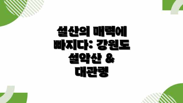 설산의 매력에 빠지다: 강원도 설악산 & 대관령
