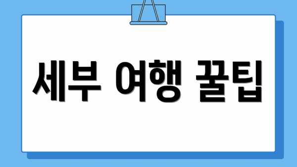 세부 여행 꿀팁