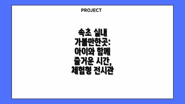 속초 실내 가볼만한곳: 아이와 함께 즐거운 시간, 체험형 전시관