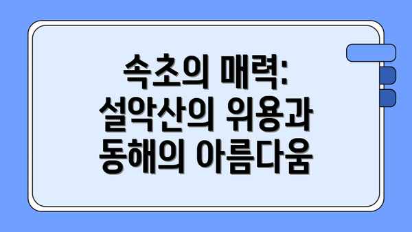 속초의 매력: 설악산의 위용과 동해의 아름다움