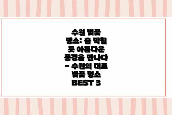 수원 벚꽃 명소: 숨 막힐 듯 아름다운 풍경을 만나다 - 수원의 대표 벚꽃 명소 BEST 3