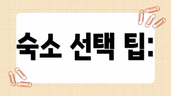 숙소 선택 팁: