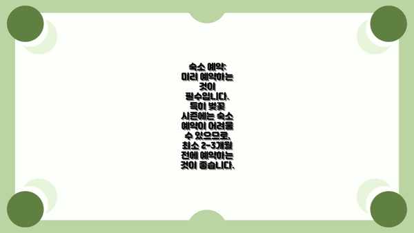 숙소 예약: 미리 예약하는 것이 필수입니다. 특히 벚꽃 시즌에는 숙소 예약이 어려울 수 있으므로, 최소 2-3개월 전에 예약하는 것이 좋습니다.