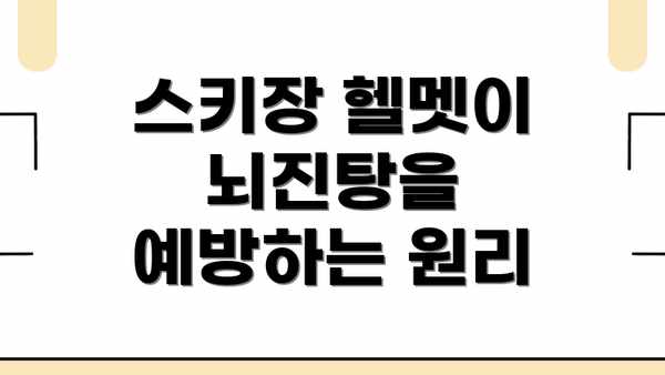 스키장 헬멧이 뇌진탕을 예방하는 원리