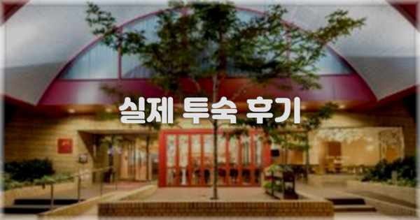 💬 실제 투숙 후기