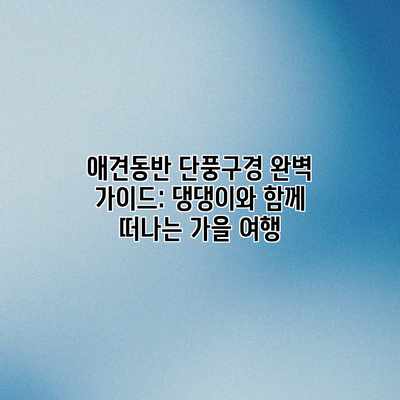 애견동반 단풍구경 완벽 가이드: 댕댕이와 함께 떠나는 가을 여행 애견동반 단풍구경 완벽 가이드: 댕댕이와 함께 떠나는 가을 여행