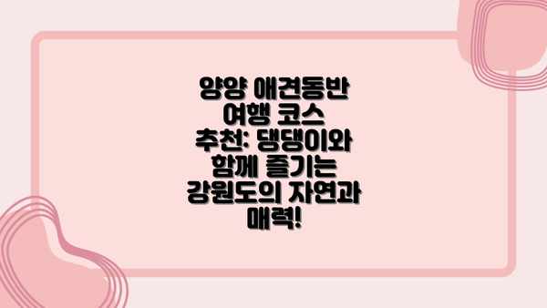 양양 애견동반 여행 코스 추천: 댕댕이와 함께 즐기는 강원도의 자연과 매력!