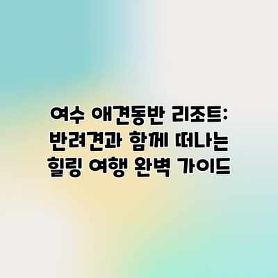 여수 애견동반 리조트: 반려견과 함께 떠나는 힐링 여행 완벽 가이드 여수 애견동반 리조트: 반려견과 함께 떠나는 힐링 여행 완벽 가이드