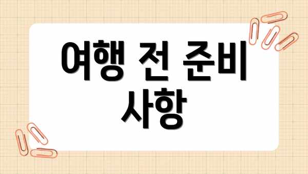 여행 전 준비 사항