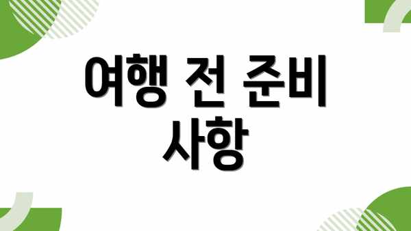여행 전 준비 사항