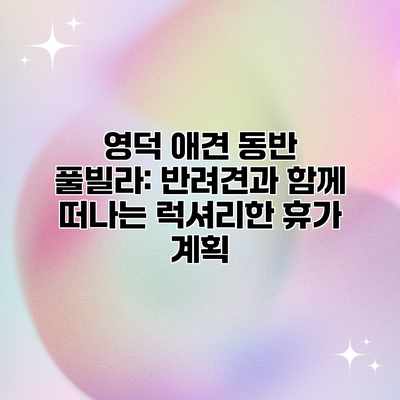 영덕 애견 동반 풀빌라: 반려견과 함께 떠나는 럭셔리한 휴가 계획 영덕 애견 동반 풀빌라: 반려견과 함께 떠나는 럭셔리한 휴가 계획