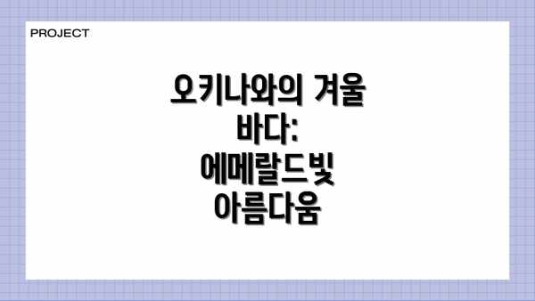 오키나와의 겨울 바다: 에메랄드빛 아름다움