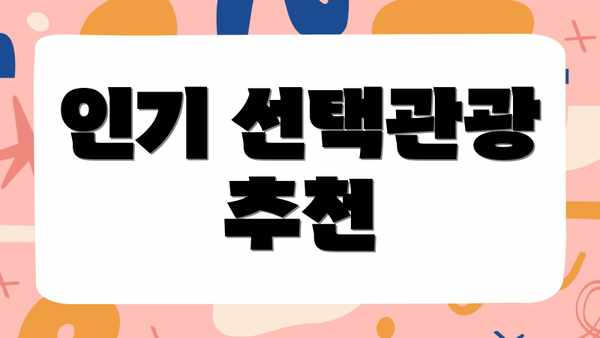인기 선택관광 추천
