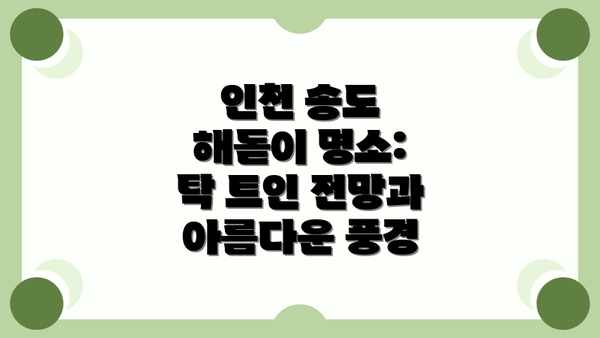 인천 송도 해돋이 명소: 탁 트인 전망과 아름다운 풍경